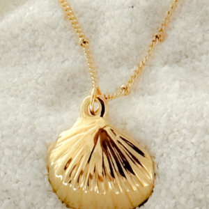 Scallop necklace wp