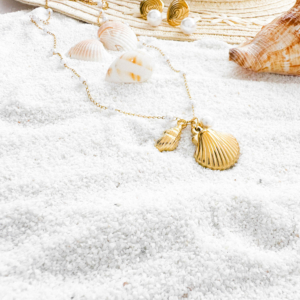 Mystery Seashell necklace wp