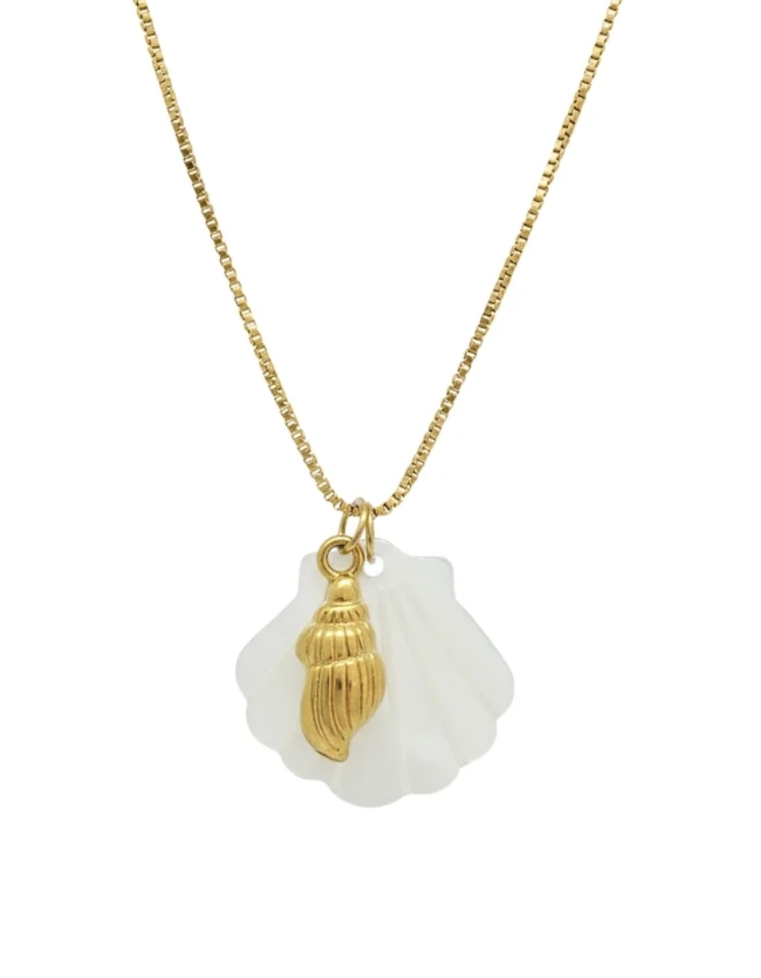 Seashell mother pearl necklace wp